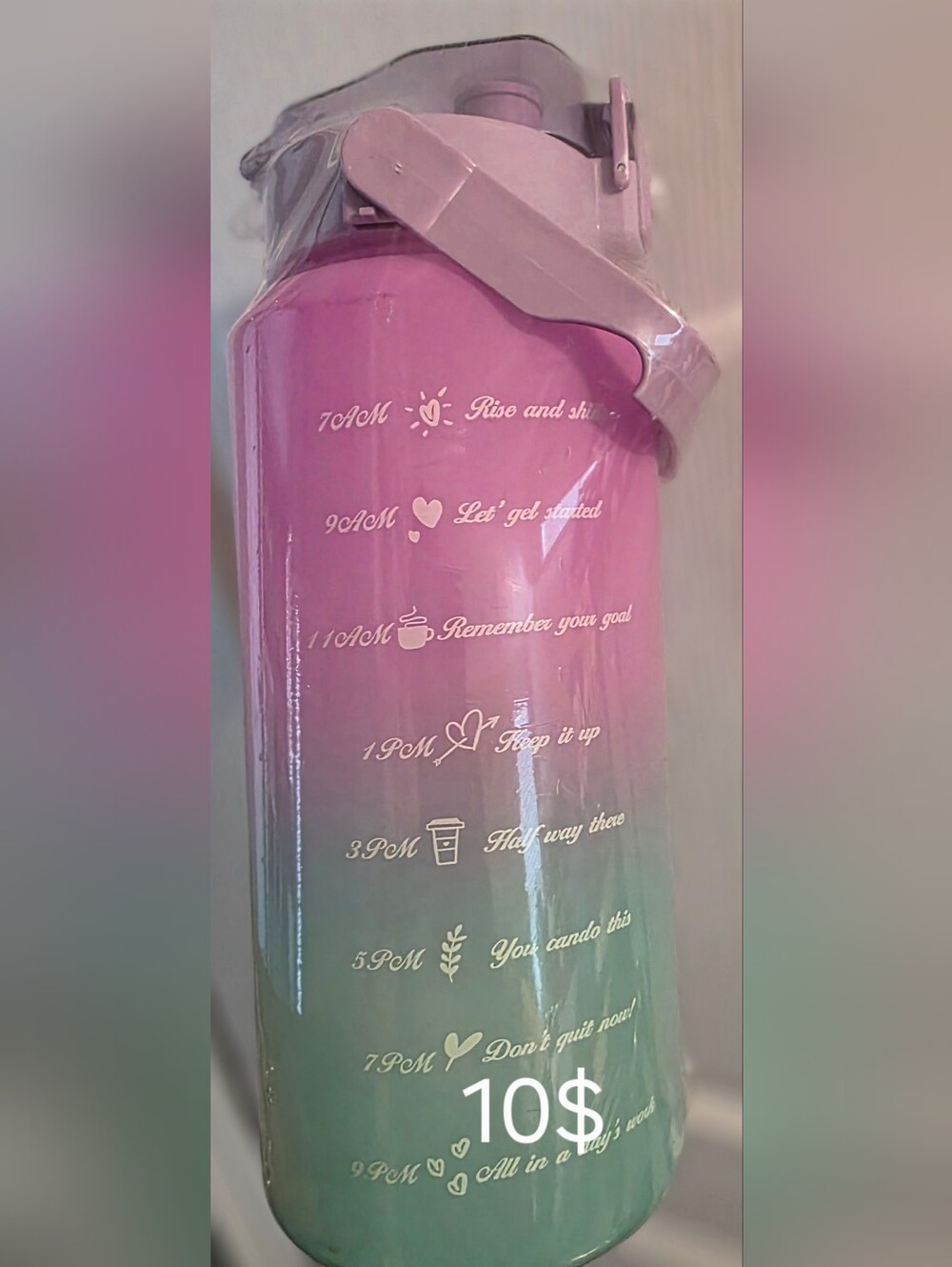 Motivational Gradient Water Bottle - Pink to Mint
